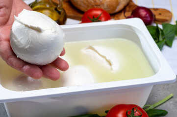 Cheese maker holding in hand fresh handmade soft Italian cheese from Campania, white balls of buffalo mozzarella cheese made from cow milk in container with water