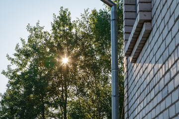 Fototapeta na wymiar rays of the sun through the crown of the tree. Brick wall of the house. Out of city life concept