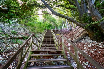 Beautiful wooden staircase in a mountain forest. Mons Clint. Denmark.Travels.