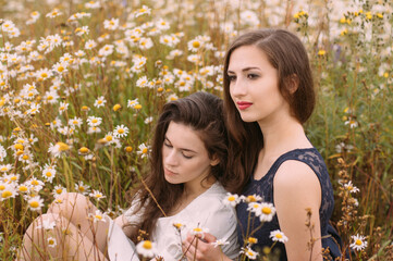 Two girls in dark blue and white dresses in sunny day sitting in chamomile field - 354058465