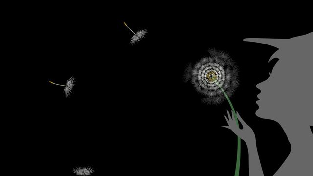 Animation. Graphic image of a girl and a plant called dandelion.
 A girl blows on a flower and the seeds fly apart.