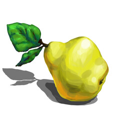 illustration fruit yellow quince pattern