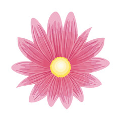 flower pink color, spring concept on white background vector illustration design