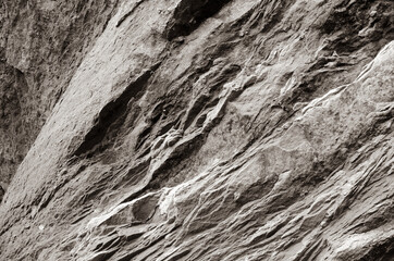 sandstone texture close up black and white