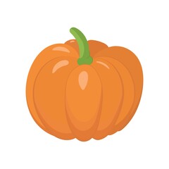 Pumpkin vector. Organic raw vegetable icon. Thanksgiving and halloween design element.