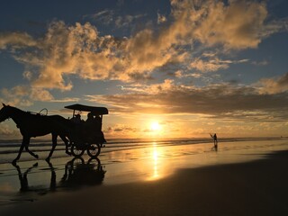 Golden Sunset in a tropical beach With sand, Horse and rock