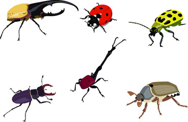Set of vector beetles 