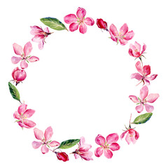 Hand drawn round frame of watercolor Apple Blossom. Watercolor illustration wreath of apple and cherry flowers