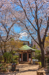 Hexagonal pavilion dedicated to the founder of Tokyo University of the Arts or Geidai in the public Okakura Tenshin Memorial Park of Yanaka under the cherry blossom trees.