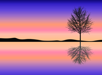 Fototapeta na wymiar sunset Landscape over the lake with tree reflection 