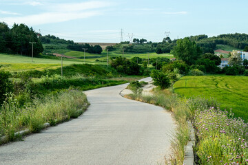 Caminos rústicos atravesando campos en primavera.
