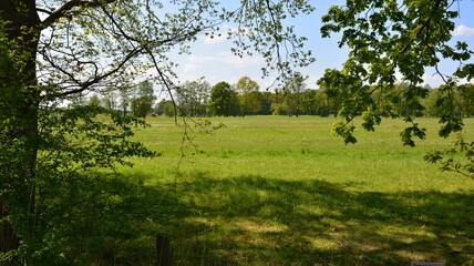 Obraz premium Marschbahndamm_001