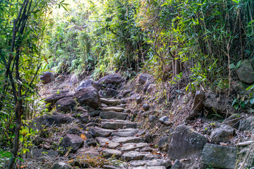 The beautiful sunny hiking road in Sai Kung East Country Park in Hong Kong