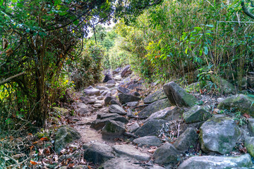 Fototapeta na wymiar The beautiful sunny hiking road in Sai Kung East Country Park in Hong Kong