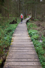 Fototapeta premium Travel. Young girl traveler with orange backpack and children has a walk on a wooden bridge in nature reserve.