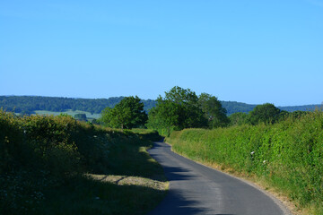 Typical English country lane in summer, Dorset, England