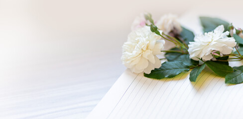 Flower frame, banner. Delicate card with pink roses on a soft white and beige background. Space for text.