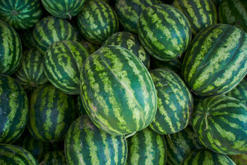 a lot of watermelons are lying in a heap