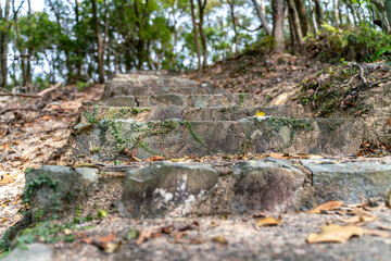 The beautiful sunny hiking road with flower in Sai Kung East Country Park in Hong Kong
