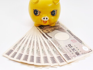 黄色い豚の貯金箱と１万円札１０枚