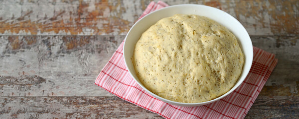 Yeast dough in a bowl. Dough for bread or pizza. The dough is infused in a bowl.