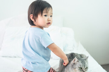 Asian little young cute baby kid playing with cat on white bed in bedroom at home. The little child love pet feeling fun with happiness. Young baby activity and development growth with animal concept.