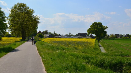 Marschbahndamm_016