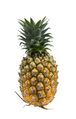 Fototapeta premium Pineapple on white background