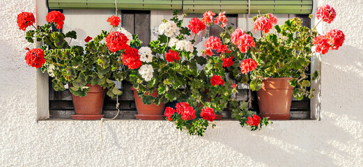 Facade of ancient house decorated with flowers in the windows