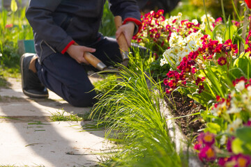 Mow the grass at the flower bed in summer.