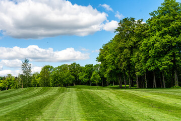 Empty golf course with trees in the background and blue sky with clouds..