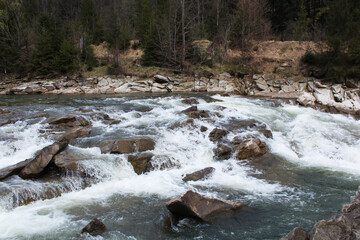 spring stormy river in the Carpathians
