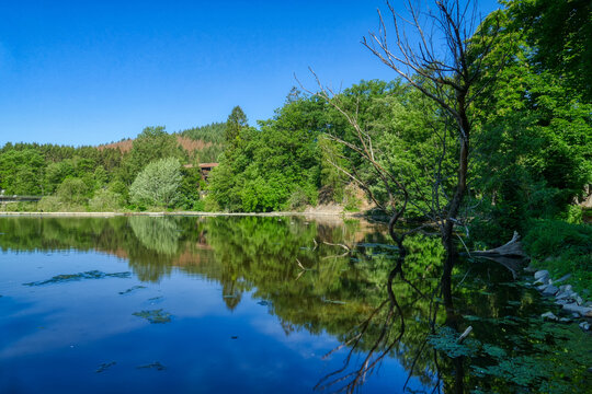 Der Fluss Sieg bei Schladern im Sommer