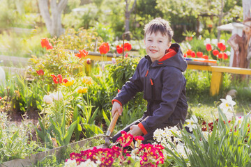 A teenage boy works in the garden. A fascinating hobby during the school holidays. The child is interested in agriculture and gardening.