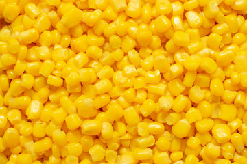 Tasty yellow grains of corn.