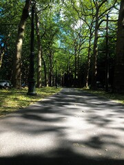 photos of a holiday in a park in belgium