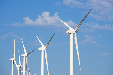Fototapeta premium Renewable energy concept