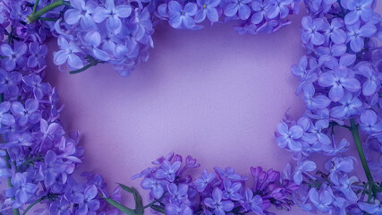 Lilac flowers on purple textured background. Spring flowers. Top view, flat lay. Spring concept with copy space.