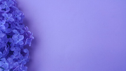 Lilac flowers on purple textured background. Spring flowers. Top view, flat lay. Spring concept with copy space.