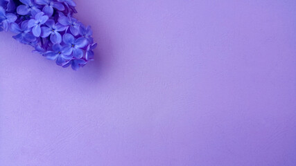 Lilac flowers on purple textured background. Spring flowers. Top view, flat lay. Spring concept...