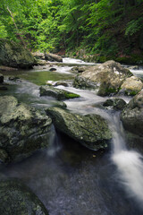 Fototapeta na wymiar Fast moving water cascades over boulders in a cool river in springtime Virginia in the Blue Ridge Mountains