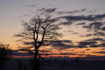 sunset in the winter