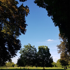 독일 뭰헨 영국정원의 나무