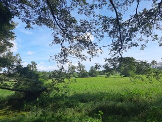 Kadambrayar, kerala 