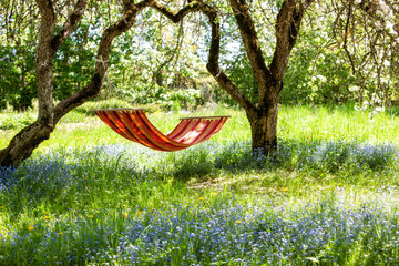 Beautiful landscape with red hammock in the spring garden with blooming apple trees, sunny day....