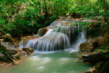 Obraz premium waterfall in the forest.