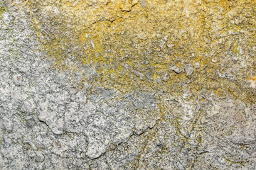 limestone texture usable as texture or background