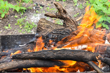 Flames of fire, flame texture background. Bonfire. Flames of fire on a tree. The tree is burning.