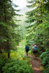 Young people are hiking in Carpathian mountains