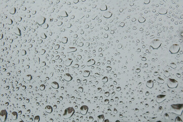 raindrops on the window pane